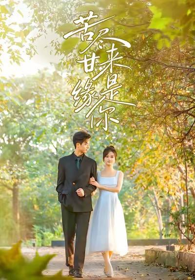 2025年12月10日 短剧合集目录6