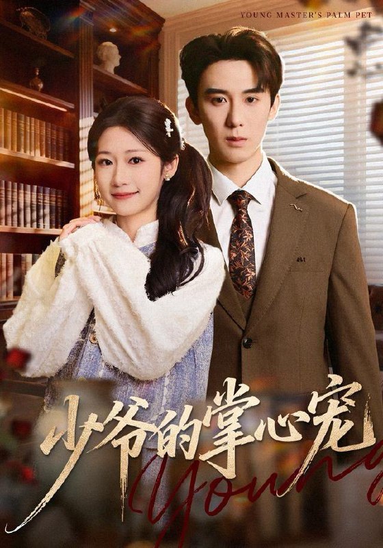 2025年12月31日 短剧合集目录10