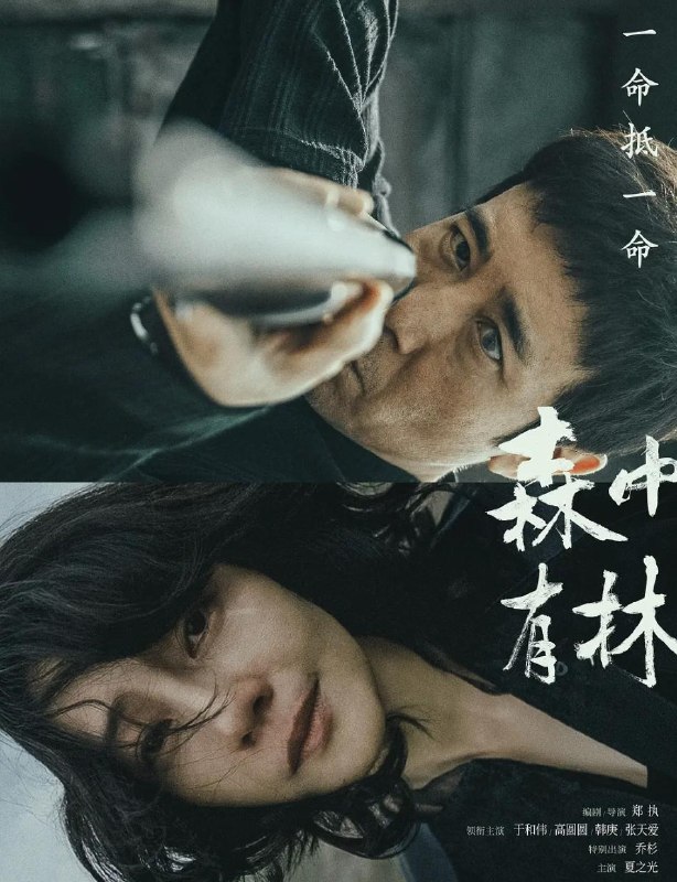 电影：森中有林 (2026)