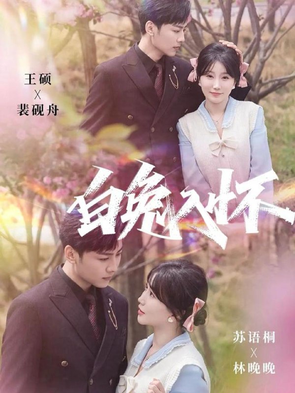 2025年12月17日 短剧合集目录4