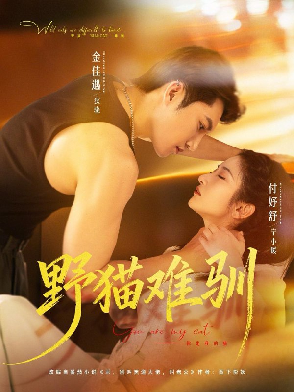 2026年3月18日 短剧更新目录2