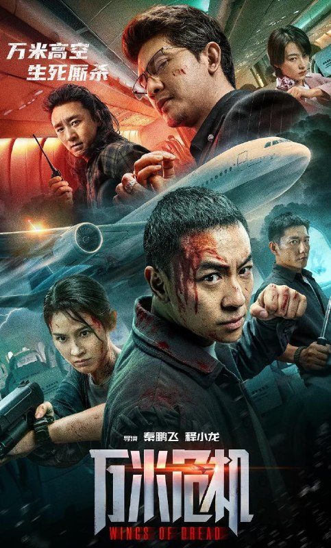 电影：万米危机（2026）释小龙主演