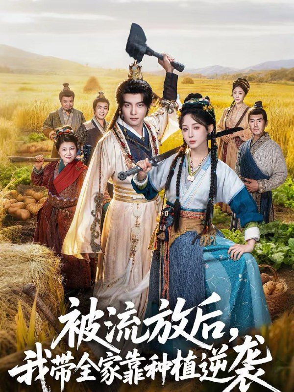 2026年2月16日 短剧更新目录9