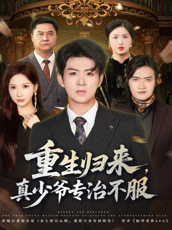 2025年11月21日 短剧合集目录12