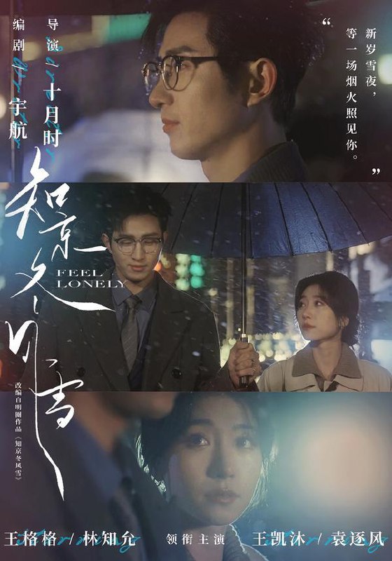 2026年2月22日 短剧更新目录6