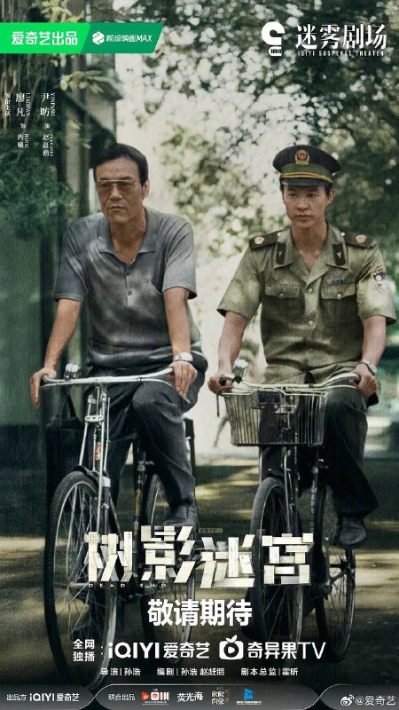 树影迷宫（2025） 4K 更新至14集