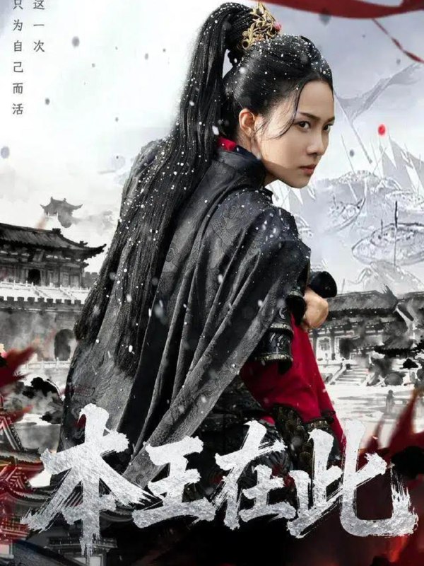 2025年12月19日 短剧合集目录2