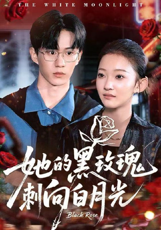 2025年12月21日 短剧合集目录7