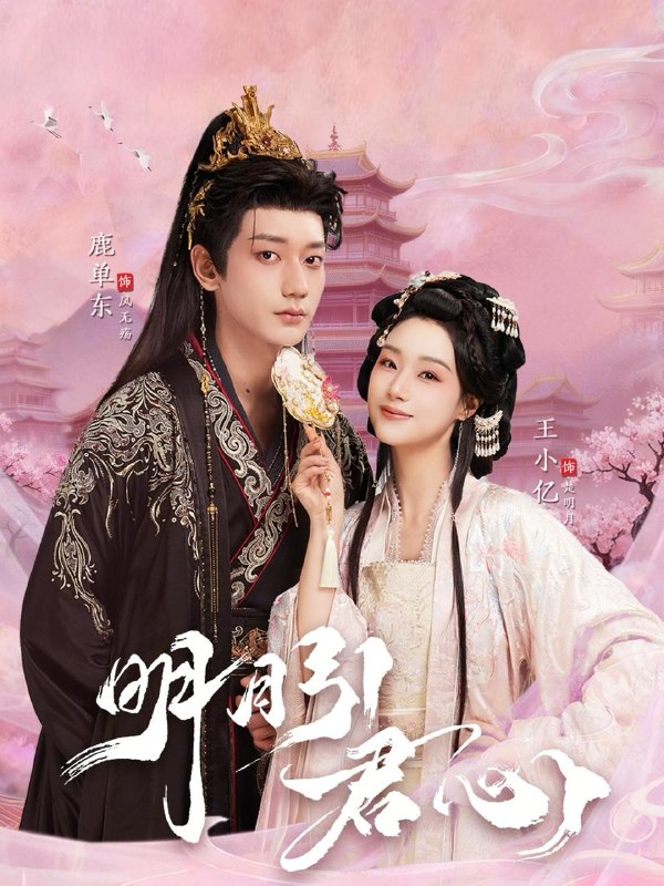 2026年1月27日 短剧更新目录2