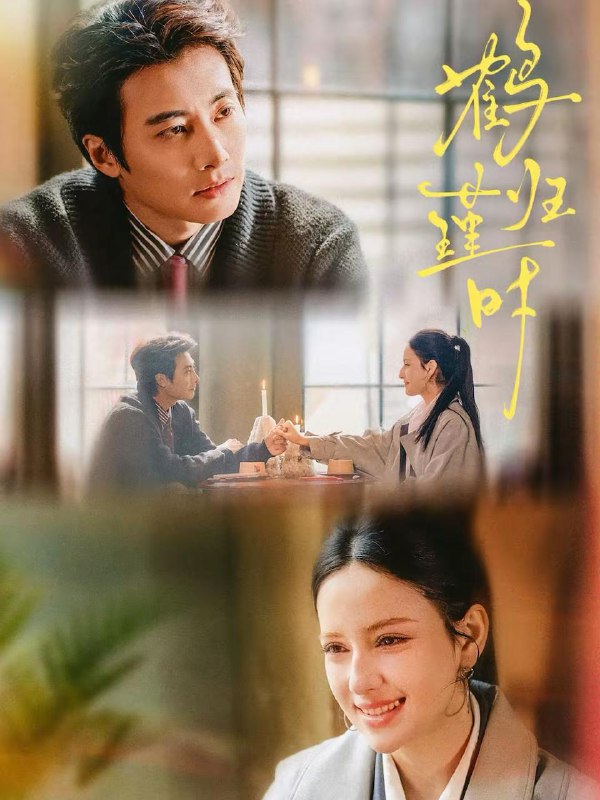 2026年2月22日 短剧更新目录9