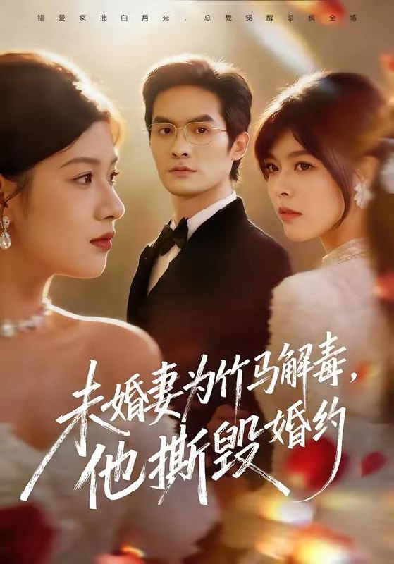 2026年2月28日 短剧更新目录17