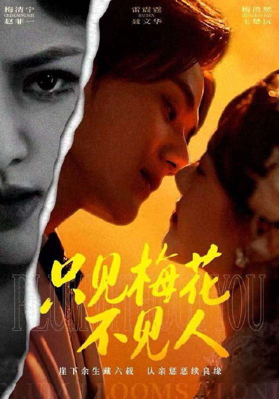 2025年12月21日 短剧合集目录10