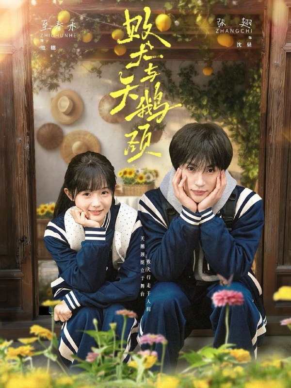 2026年5月3日 短剧更新目录2
