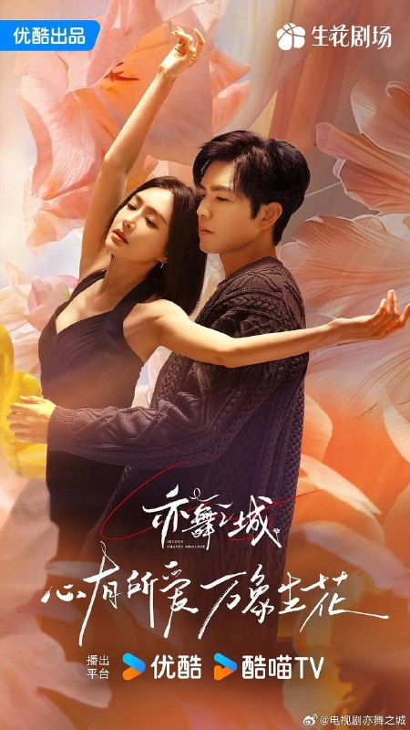 亦舞之城（2025）  4K 更新至24集