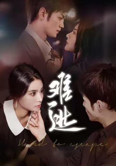 2025年12月17日 短剧合集目录6