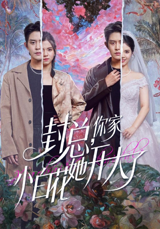 2025年12月26日 短剧合集目录4