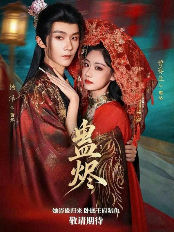 2026年2月1日 短剧更新目录4