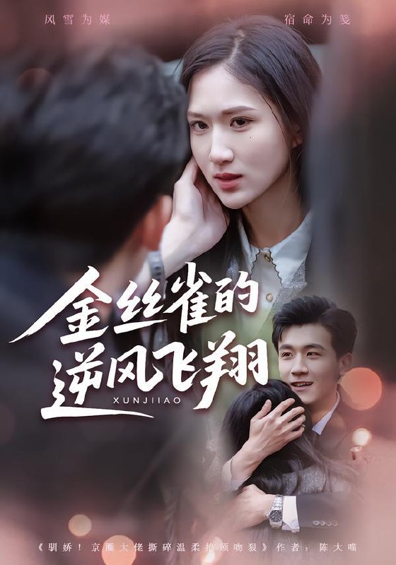 2026年1月30日 短剧更新目录12