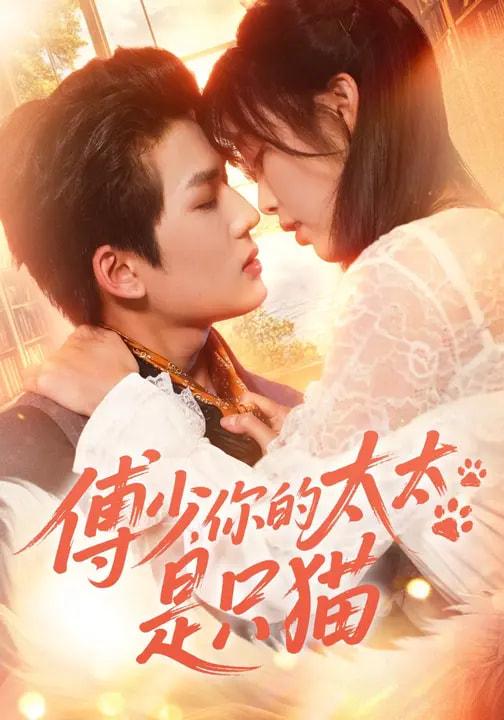 2026年3月13日 短剧更新目录5