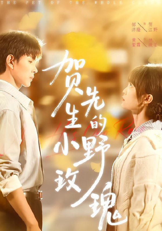 2026年1月26日 短剧更新目录5