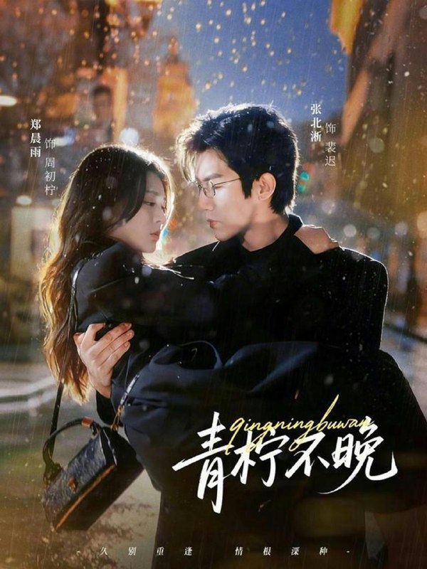 2026年1月31日 短剧更新目录4