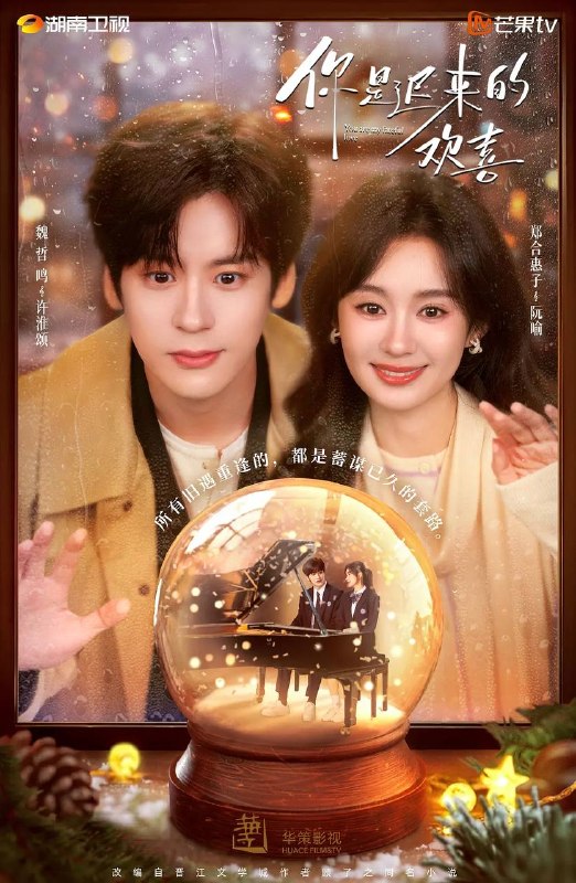 你是迟来的欢喜(2026） 4K 更新至08集