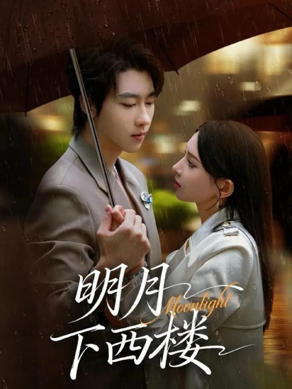 2025年12月13日 短剧合集目录5