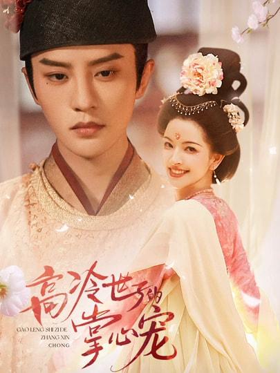 2026年2月21日 短剧更新目录5