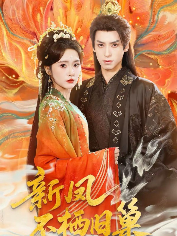 2026年2月28日 短剧更新目录23