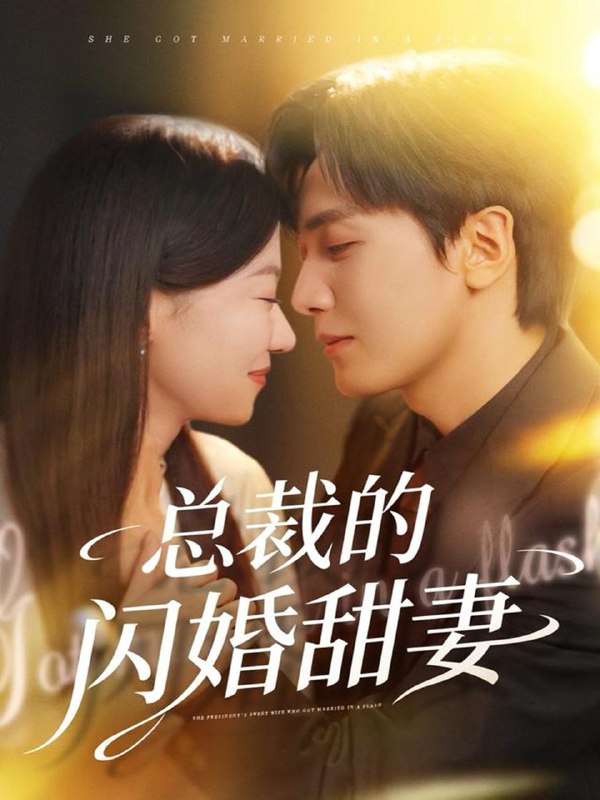 2025年11月28日 短剧合集目录6