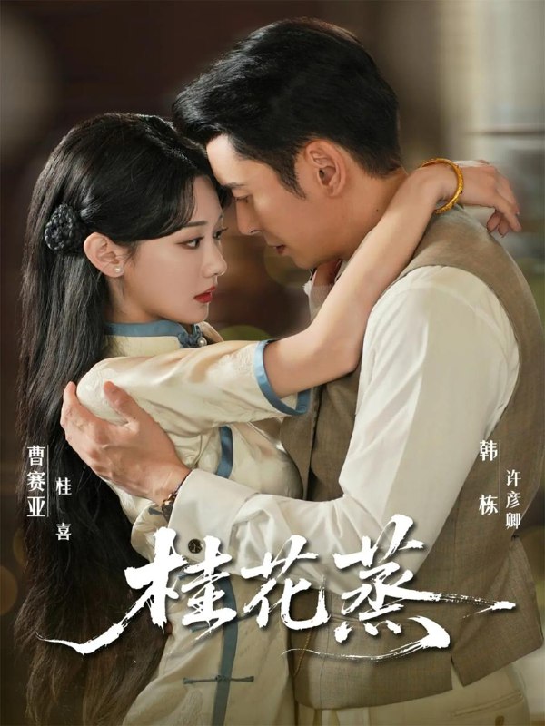 2025年11月23日 短剧合集目录2