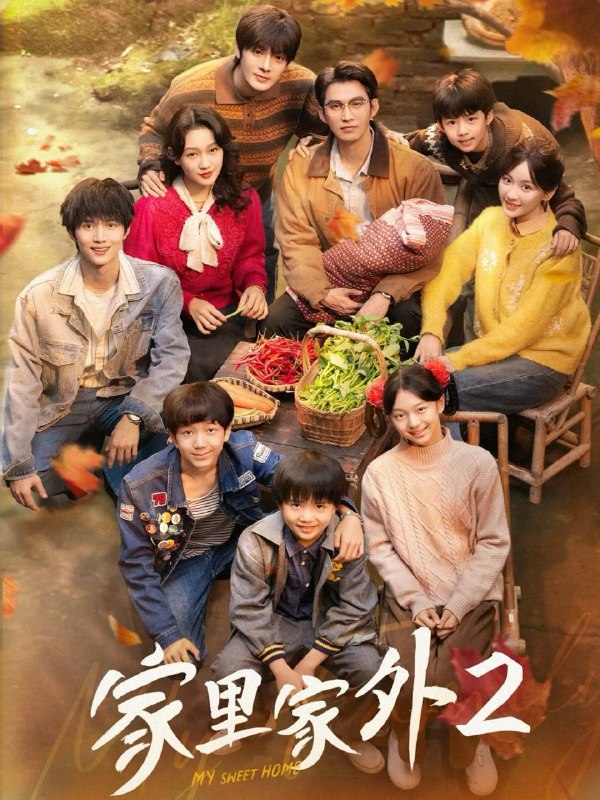 家里家外2&家里家外第二部（111集）王道铁＆孙艺燃＆王培延＆邓灵枢＆段美洋