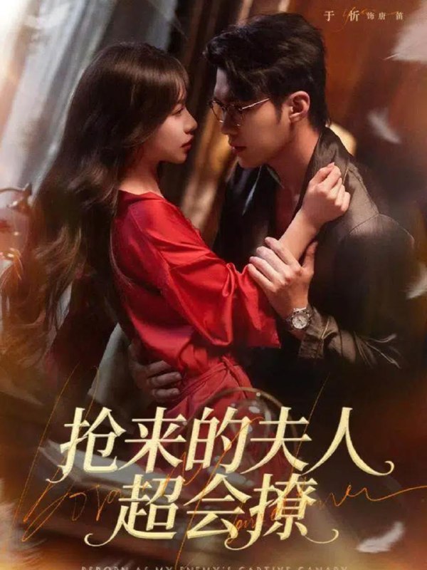 2025年12月22日 短剧合集目录8