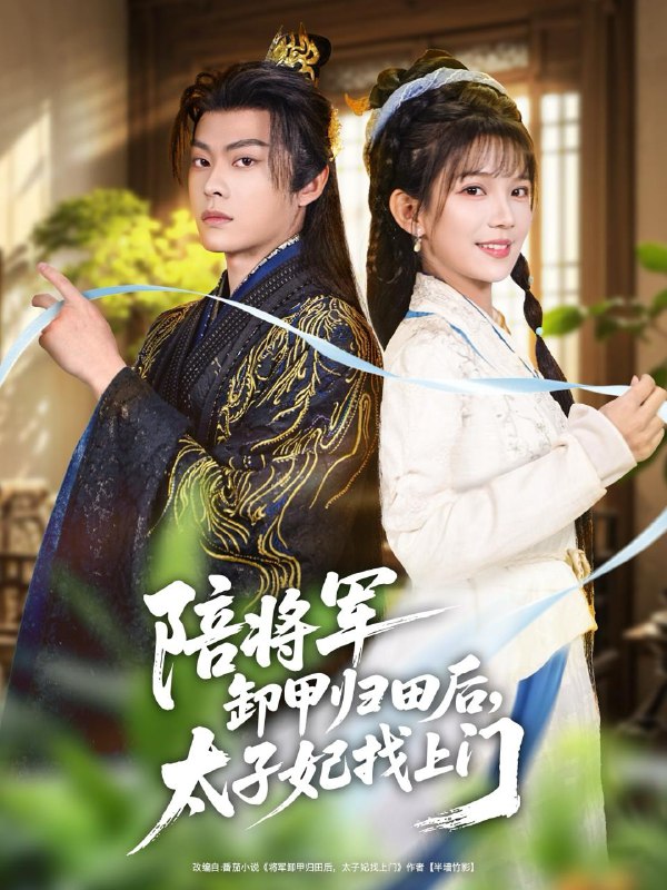 2025年12月25日 短剧合集目录12