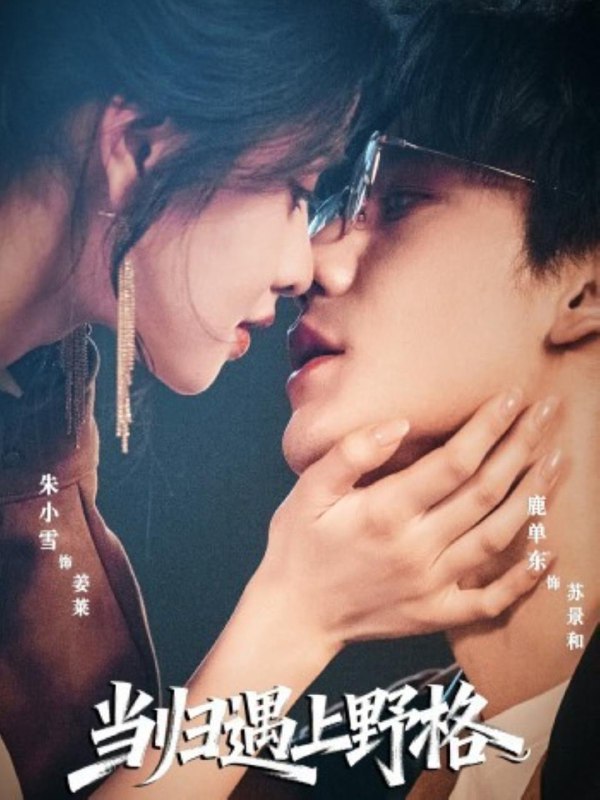 2025年12月10日 短剧合集目录1