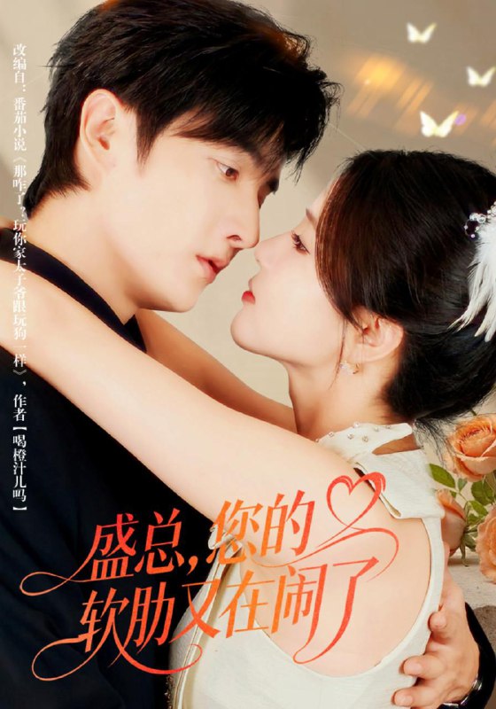 2025年12月6日 短剧合集目录11