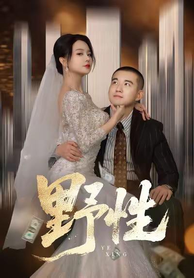 2026年1月6日 短剧目录7