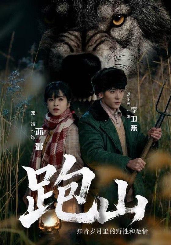 2025年12月30日 短剧合集目录1