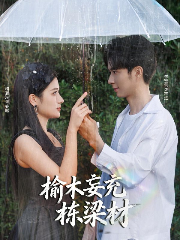 2025年12月17日 短剧合集目录2