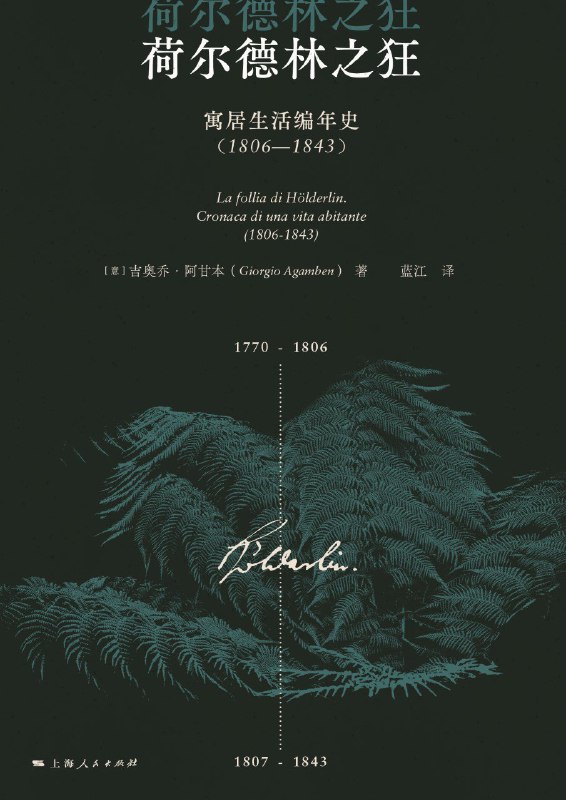 《荷尔德林之狂》（azw3+epub+mobi+pdf)