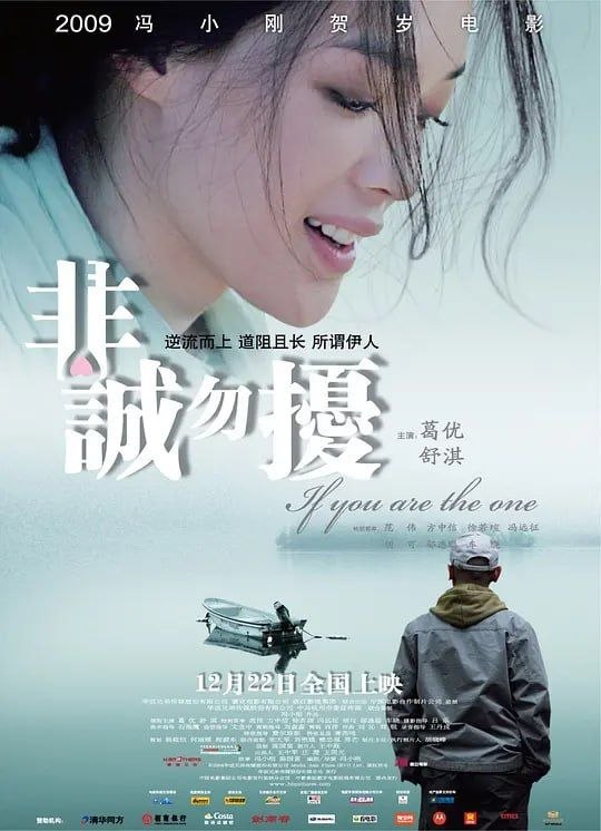 【原盘】非诚勿扰 (2008) 1080P REMUX 国粤多音轨 内封简/繁英双语字幕