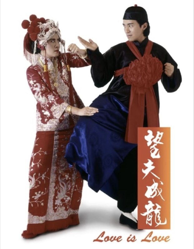 【原盘】望夫成龙 (1990) 1080P REMUX 国粤多音轨 中字外挂/内嵌字幕