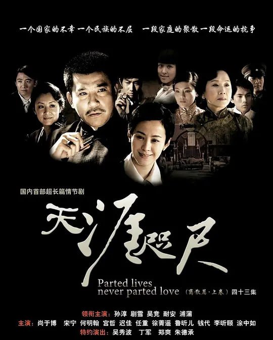 天涯咫尺 (2008)