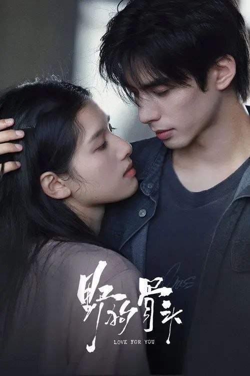野狗骨头 (2026) 4K 全32集完结