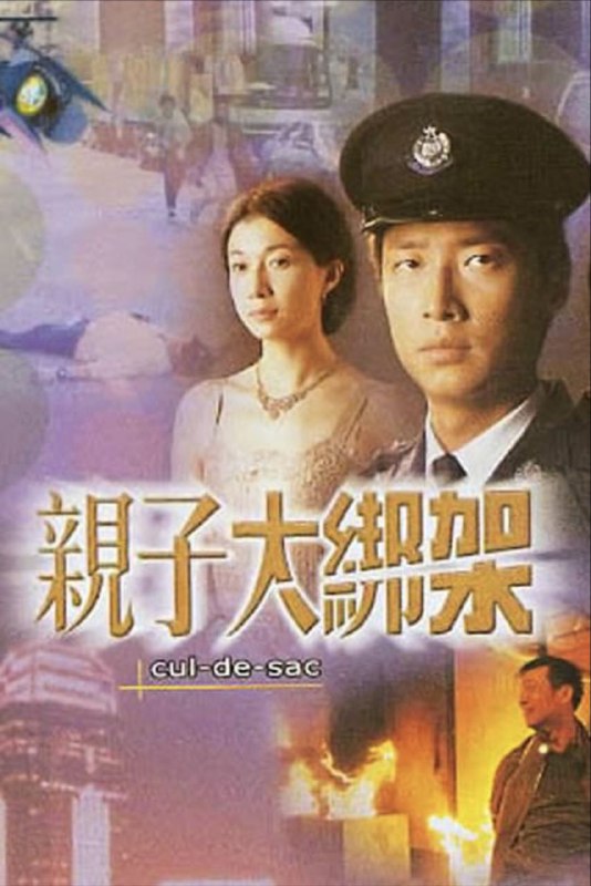 亲子大绑架 (2003) 1080P 粤语 内嵌简繁字幕