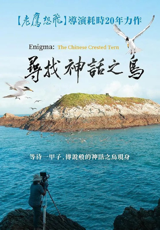 寻找神话之鸟 尋找神話之鳥 (2021)