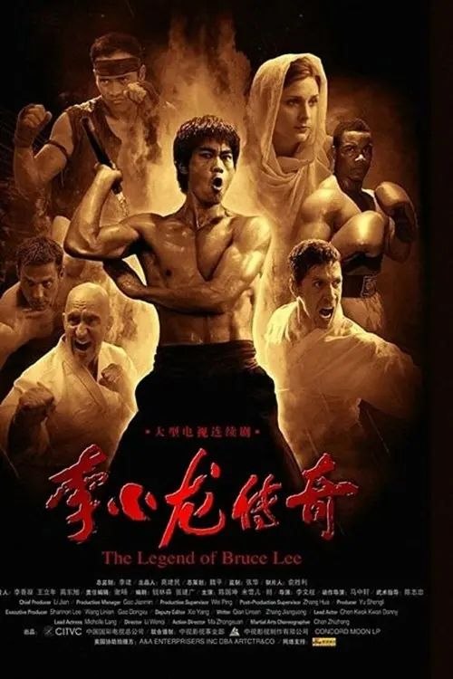 李小龙传奇 (2008) 1080P 全集