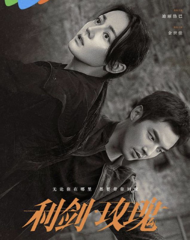 利剑·玫瑰 (2025) 4K 全集