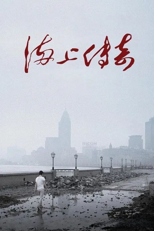 【原盘】海上传奇 (2010) 1080P REMUX 内封简繁字幕
