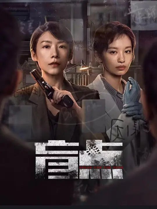 盲点 (2025)